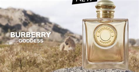 burberry cologne sampler|free burberry perfume samples.